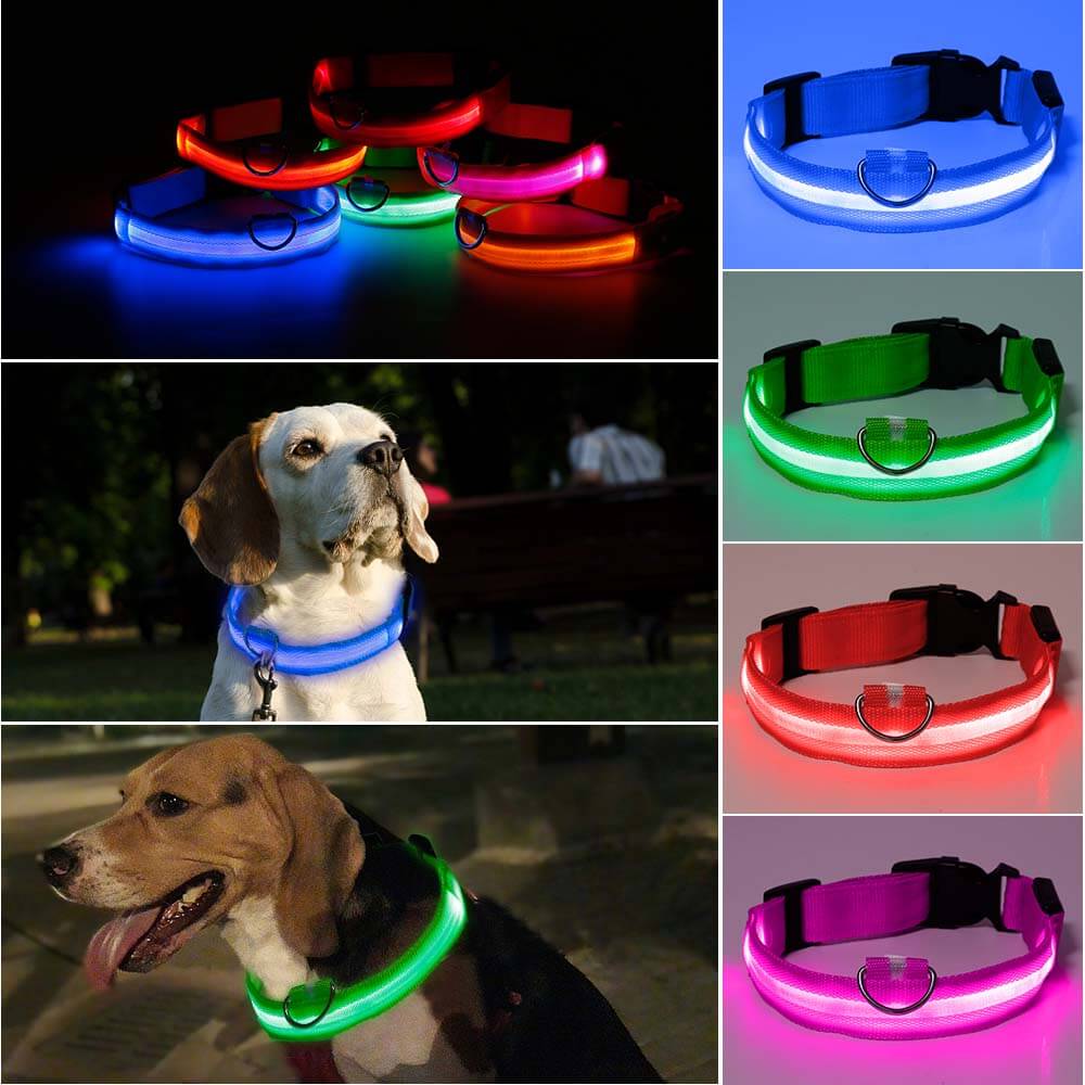 SafeGlow™ LED-Halsband – Laat je hond schitteren, dag & nacht