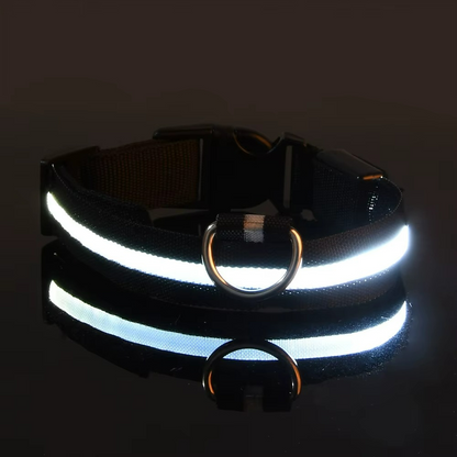 SafeGlow™ LED-Halsband – Laat je hond schitteren, dag & nacht