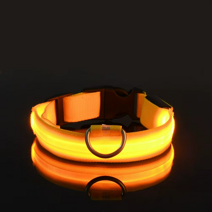 SafeGlow™ LED-Halsband – Laat je hond schitteren, dag & nacht