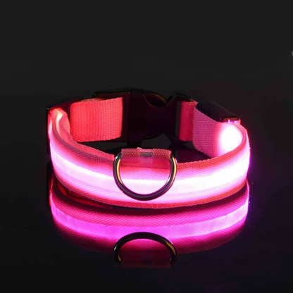SafeGlow™ LED-Halsband – Laat je hond schitteren, dag & nacht