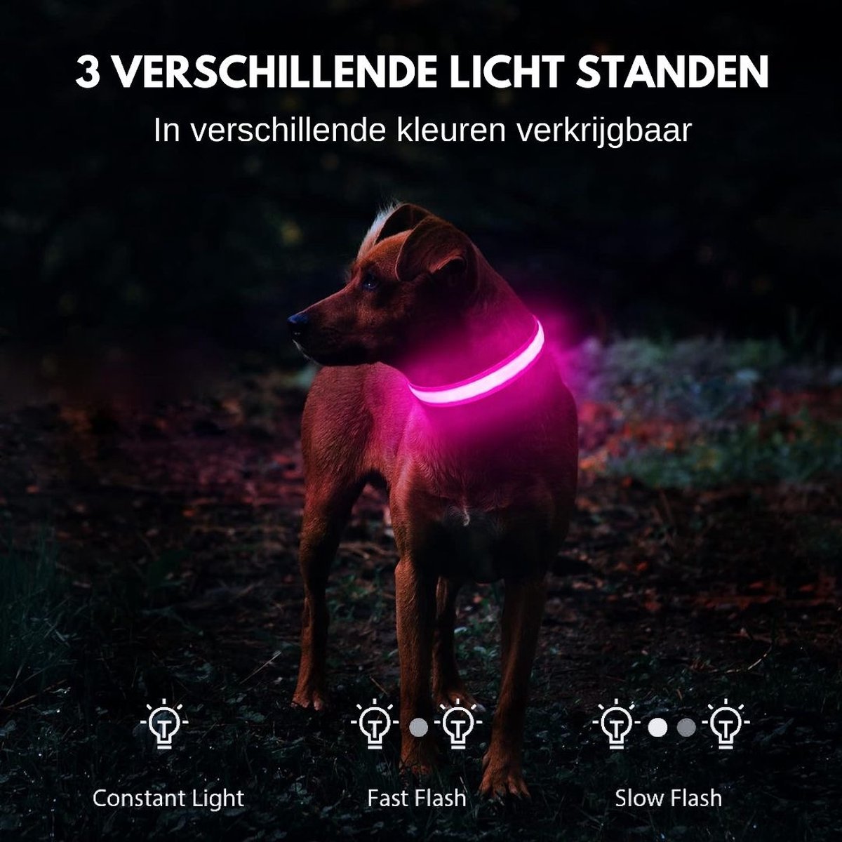 SafeGlow™ LED-Halsband – Laat je hond schitteren, dag & nacht