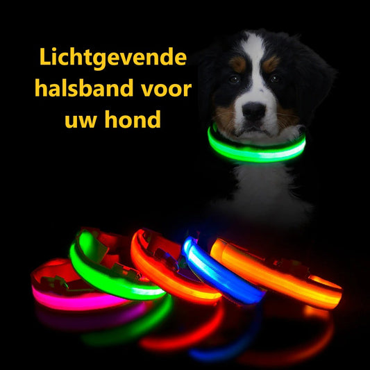 SafeGlow™ LED-Halsband – Laat je hond schitteren, dag & nacht